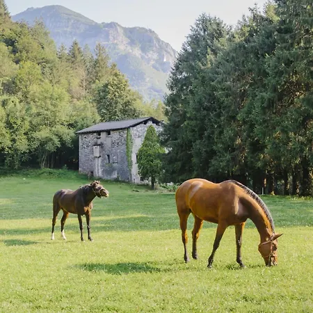 Фермерский дом Agriturismo Ferdy