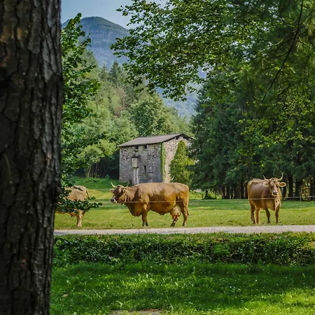 Фермерский дом Agriturismo Ferdy
