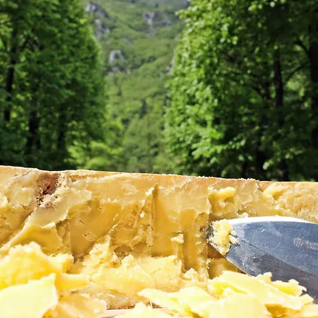 Фермерский дом Agriturismo Ferdy *