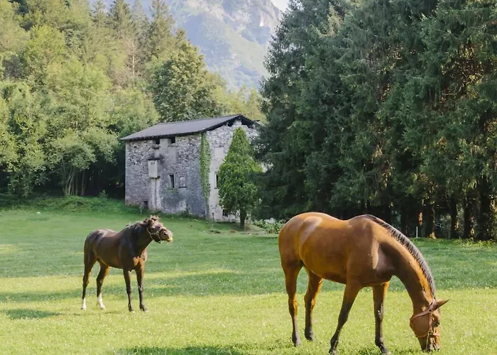 Bauernhof Agriturismo Ferdy