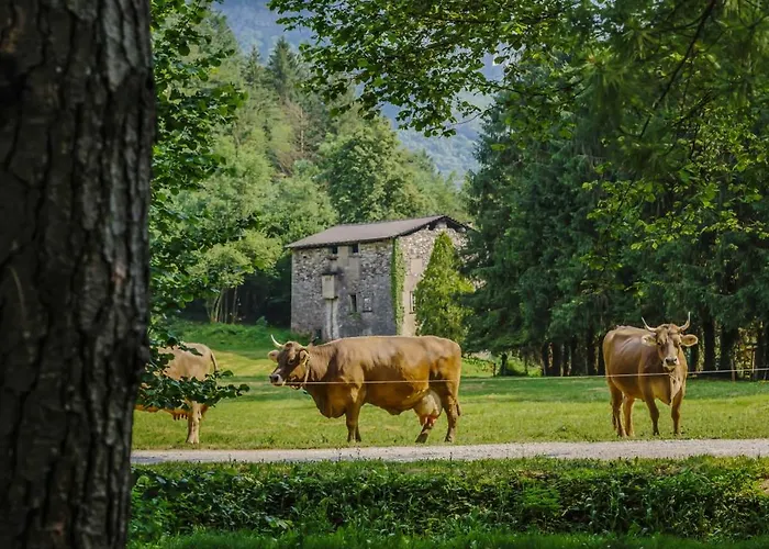 Bauernhof Agriturismo Ferdy
